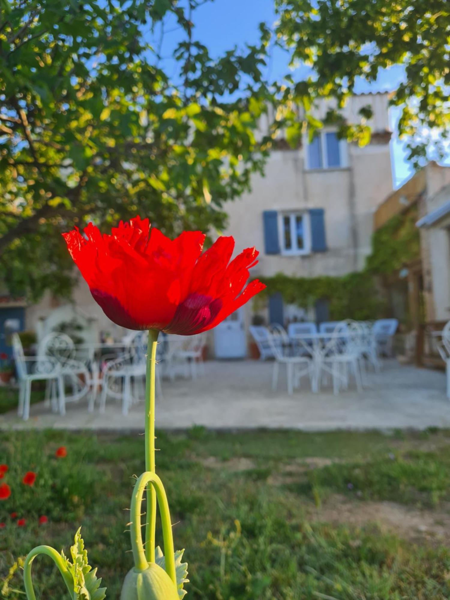 La Ferme Constantin Vila Fayence Quarto foto