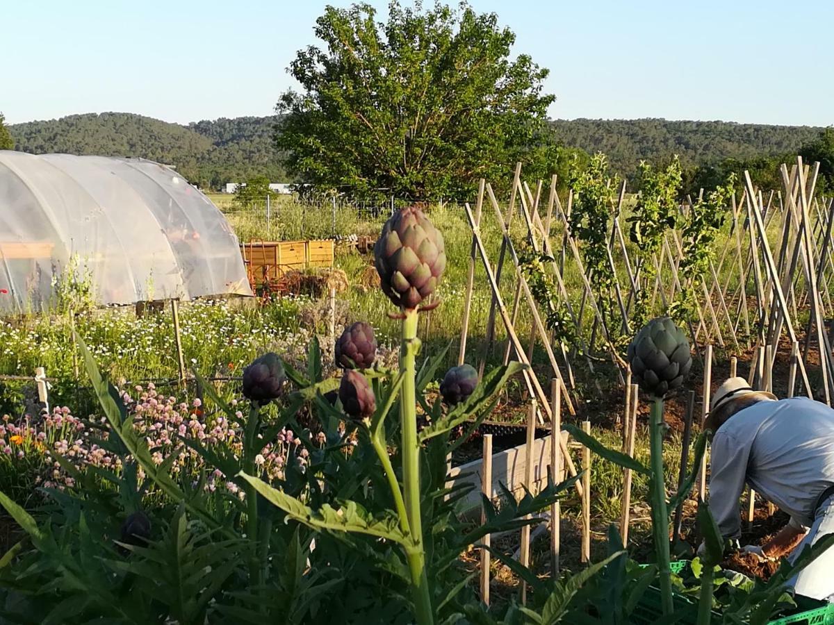 La Ferme Constantin Vila Fayence Exterior foto